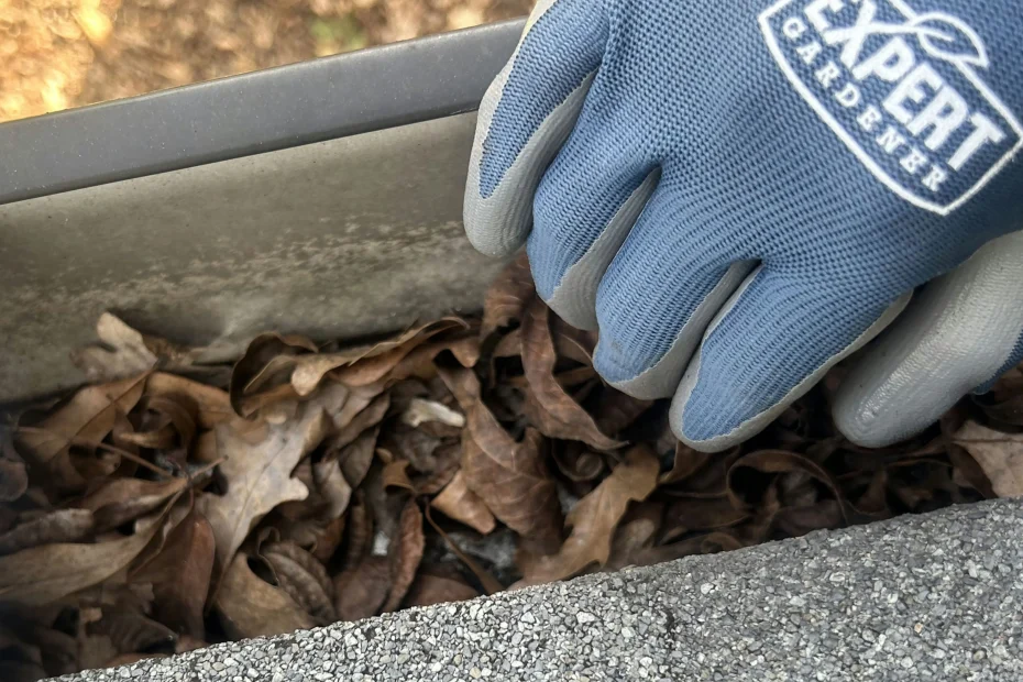 Gutter Cleaning Lakeland TN