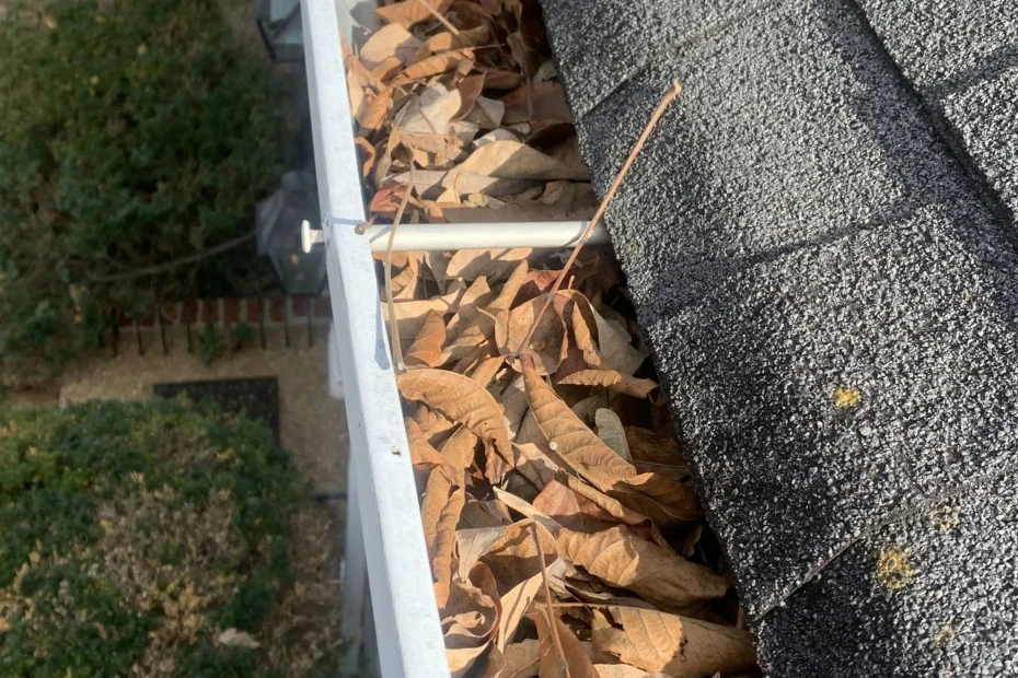 Gutter Cleaning Lakeland TN