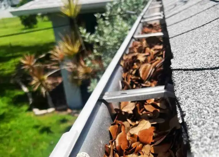 Gutter Cleaning Lakeland TN home page